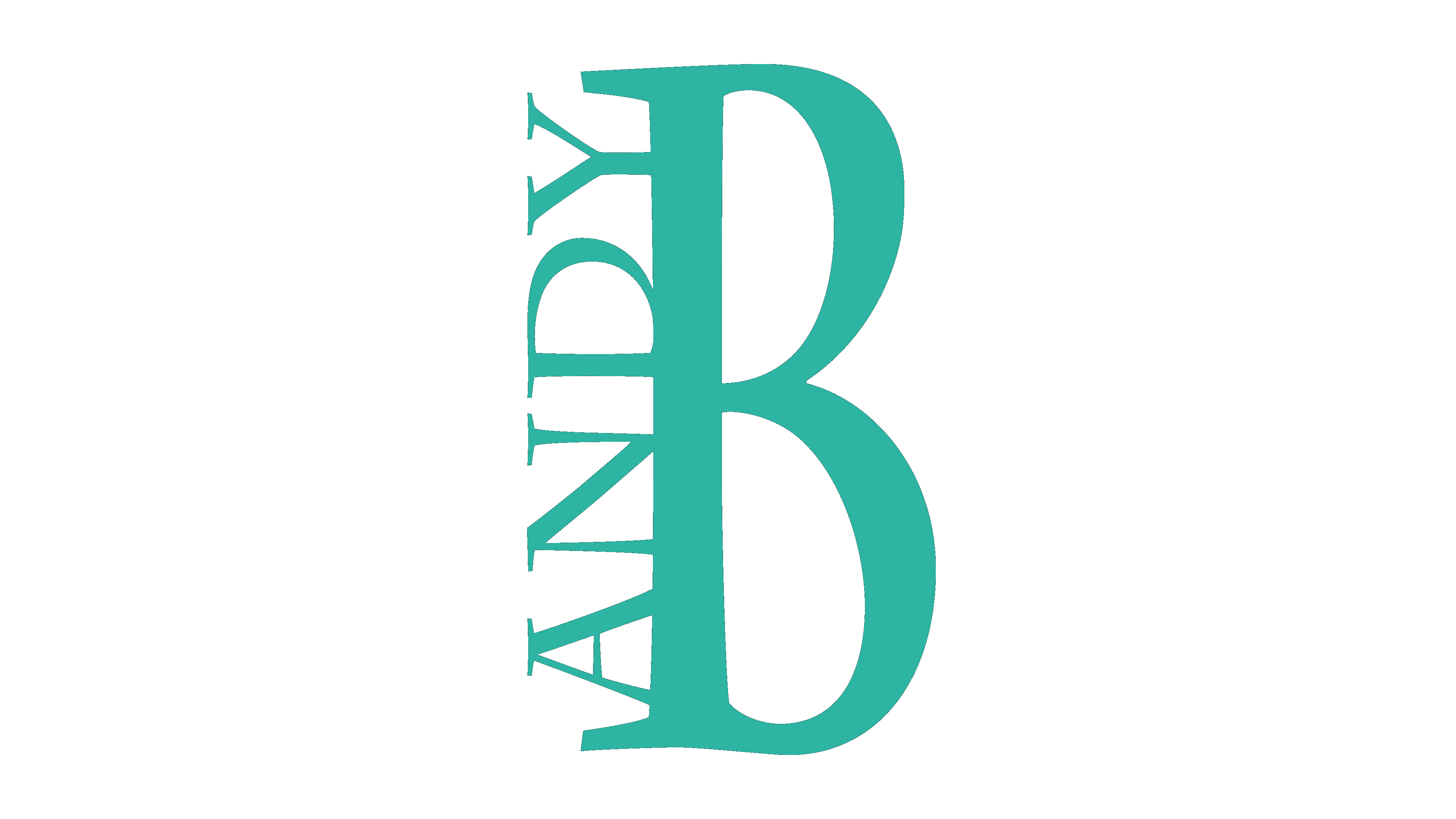 Andy-Briesemeister-Service-Transparenz